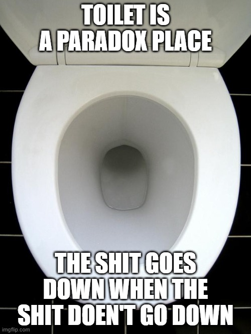 Paradox place | TOILET IS A PARADOX PLACE; THE SHIT GOES DOWN WHEN THE SHIT DOEN'T GO DOWN | image tagged in toilet,paradox | made w/ Imgflip meme maker