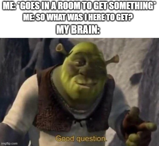 fr | ME: *GOES IN A ROOM TO GET SOMETHING*; ME: SO WHAT WAS I HERE TO GET? MY BRAIN: | image tagged in shrek good question,memes,funny,relatable,relatable memes,stupid | made w/ Imgflip meme maker