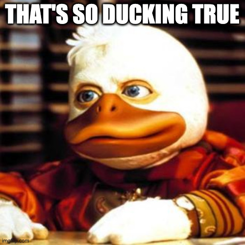 howard the duck | THAT'S SO DUCKING TRUE | image tagged in howard the duck | made w/ Imgflip meme maker