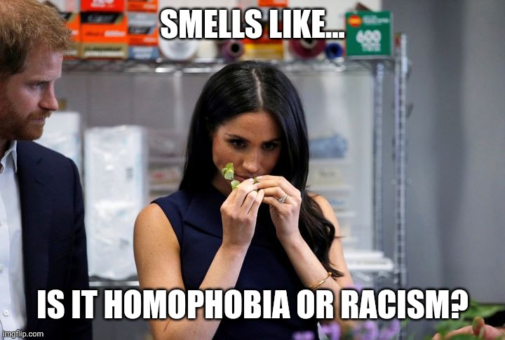 Is it racism or homophobia? | SMELLS LIKE... IS IT HOMOPHOBIA OR RACISM? | image tagged in no racism,gay pride,funny,intersectional | made w/ Imgflip meme maker