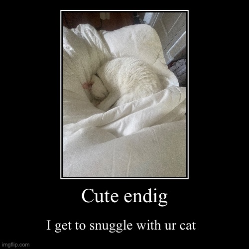 Wowwww | Cute endig | I get to snuggle with ur cat | image tagged in funny,demotivationals | made w/ Imgflip demotivational maker