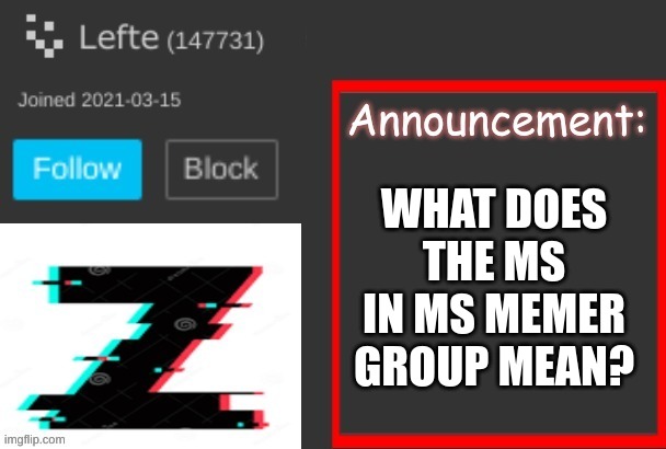 WHAT DOES THE MS IN MS MEMER GROUP MEAN? | image tagged in memes | made w/ Imgflip meme maker