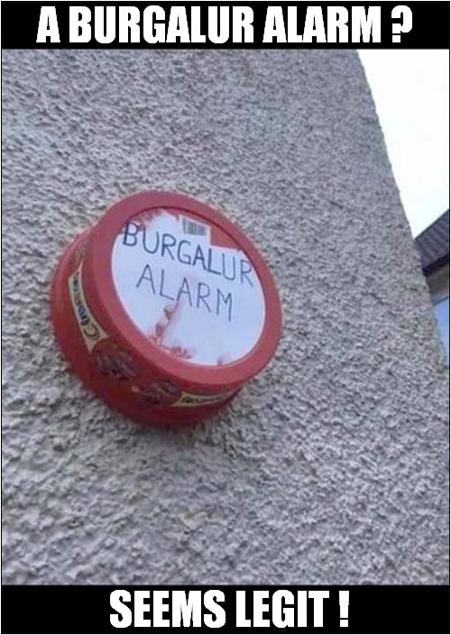 Home Security Is So Important ! | A BURGALUR ALARM ? SEEMS LEGIT ! | image tagged in security,burglar alarm,sweet tin,seems legit | made w/ Imgflip meme maker