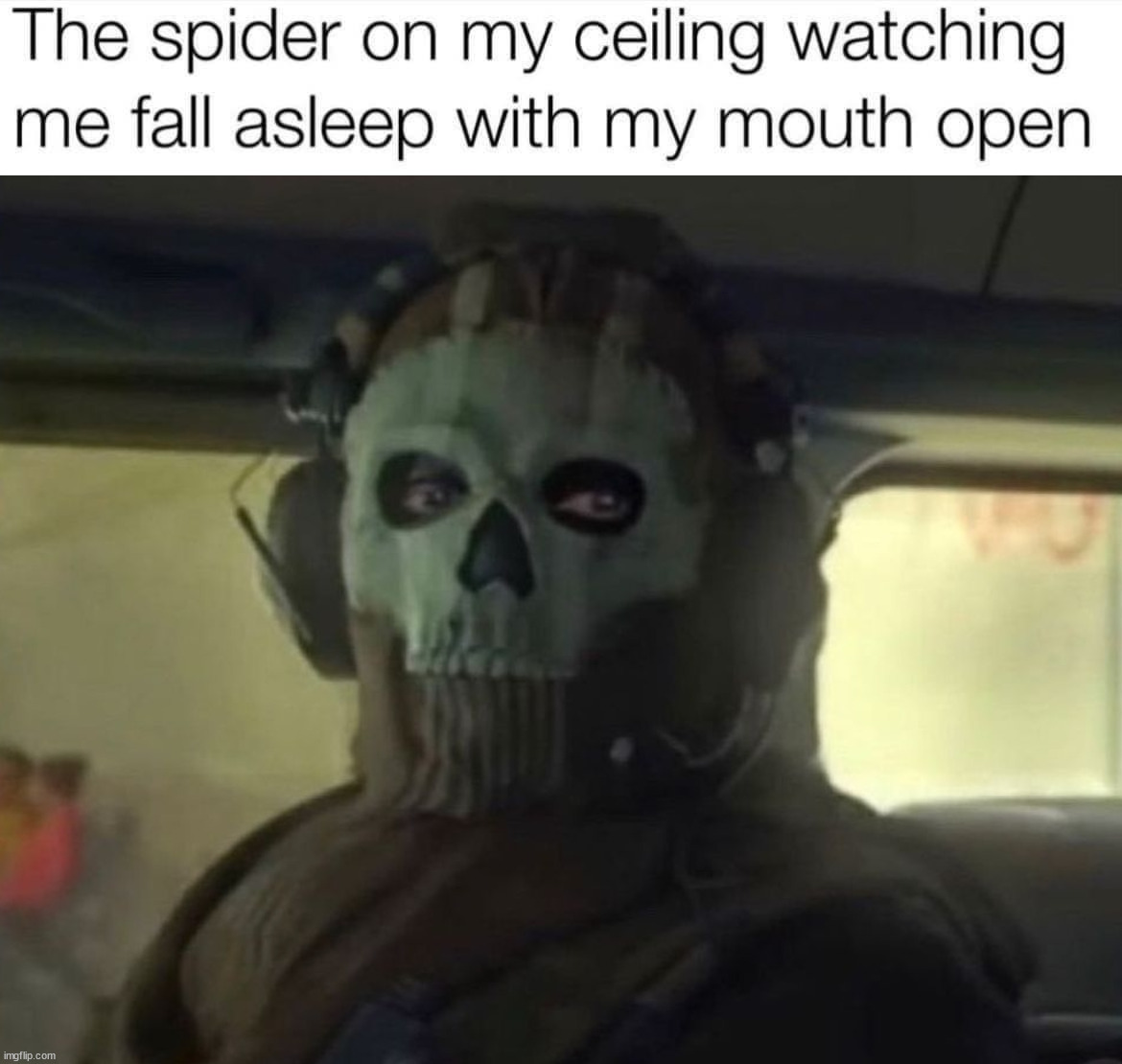I hate looking up and see them staring at me | image tagged in ghost staring,spiders,you better watch your mouth | made w/ Imgflip meme maker