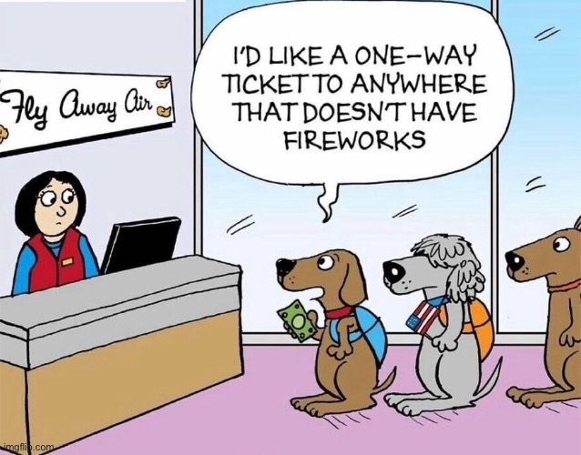 One way ticket | image tagged in dogs one way flight,anywhere,with no fireworks,dogs | made w/ Imgflip meme maker