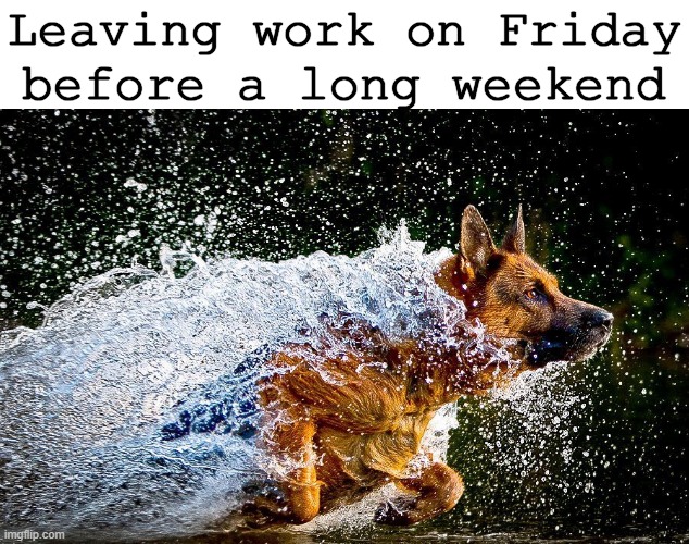 Leaving Work on Friday | Leaving work on Friday before a long weekend | image tagged in dogs,memes,funny,funny memes | made w/ Imgflip meme maker