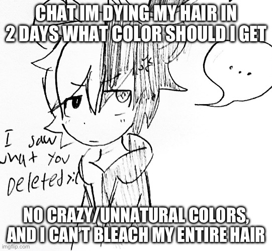 What do you think? Btw my hair is light brown so just keep that in mind | CHAT IM DYING MY HAIR IN 2 DAYS WHAT COLOR SHOULD I GET; NO CRAZY/UNNATURAL COLORS, AND I CAN’T BLEACH MY ENTIRE HAIR | image tagged in monokuma pissed off | made w/ Imgflip meme maker