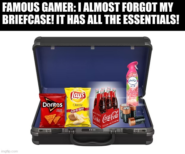 How to prepare for work | FAMOUS GAMER: I ALMOST FORGOT MY BRIEFCASE! IT HAS ALL THE ESSENTIALS! | image tagged in memes,video games,gaming | made w/ Imgflip meme maker