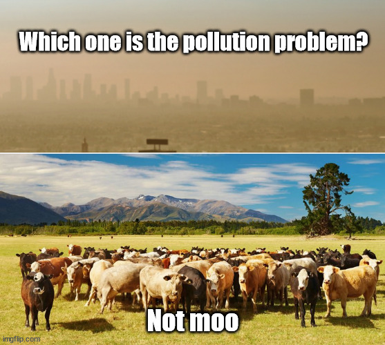 pollution problem? not moo | Which one is the pollution problem? Not moo | image tagged in cow,green | made w/ Imgflip meme maker