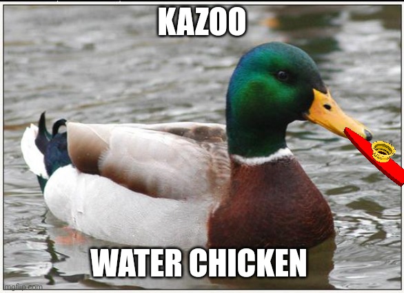Kazoo water chicken | KAZOO; WATER CHICKEN | image tagged in memes,actual advice mallard | made w/ Imgflip meme maker