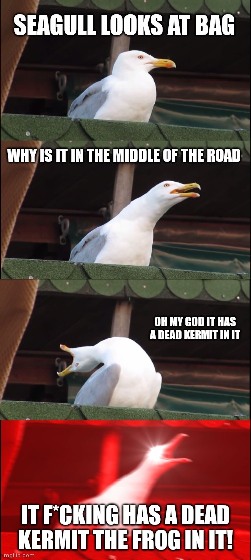 Seagull sees a plastic bag with ba dead Kermit the frog in it | SEAGULL LOOKS AT BAG; WHY IS IT IN THE MIDDLE OF THE ROAD; OH MY GOD IT HAS A DEAD KERMIT IN IT; IT F*CKING HAS A DEAD KERMIT THE FROG IN IT! | image tagged in memes,inhaling seagull,funny meme,seagull sees a bag,dead kermit the frog | made w/ Imgflip meme maker