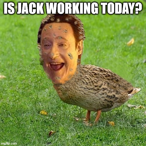 No, Jack’s Off | IS JACK WORKING TODAY? | image tagged in the data ducky | made w/ Imgflip meme maker