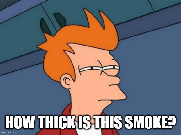 Futurama Fry Meme | HOW THICK IS THIS SMOKE? | image tagged in memes,futurama fry | made w/ Imgflip meme maker