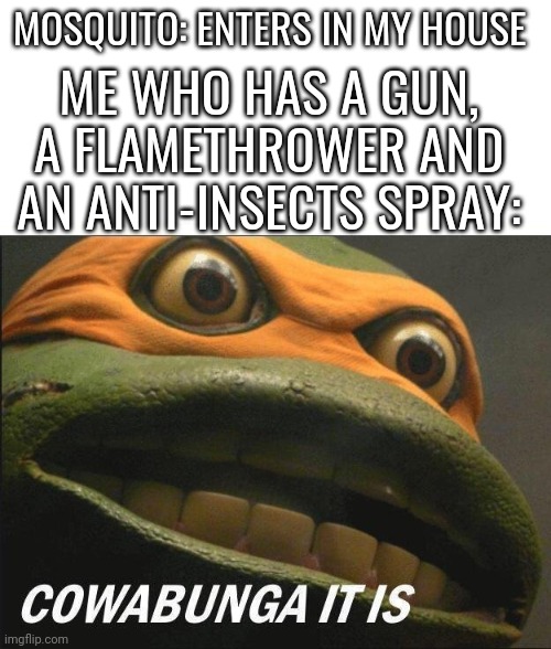 Ngl, I think that mosquito has no shot Against me | MOSQUITO: ENTERS IN MY HOUSE; ME WHO HAS A GUN, A FLAMETHROWER AND AN ANTI-INSECTS SPRAY: | image tagged in cowabunga it is,memes,mosquito,gun,flamethrower,funny | made w/ Imgflip meme maker