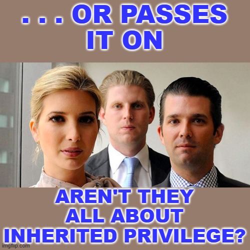 trumps kids | . . . OR PASSES
IT ON AREN'T THEY ALL ABOUT INHERITED PRIVILEGE? | image tagged in trumps kids | made w/ Imgflip meme maker