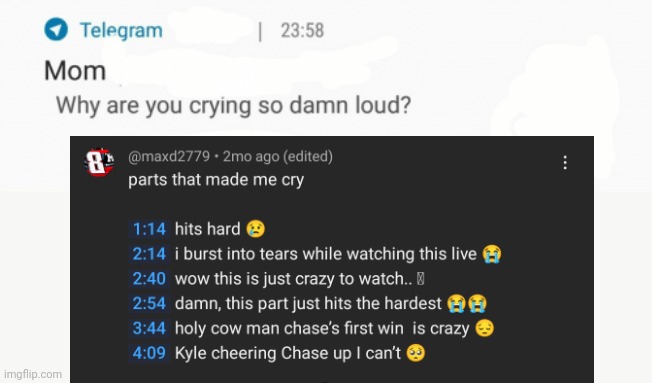 I also cried during the video | image tagged in why are you crying so damn loud | made w/ Imgflip meme maker