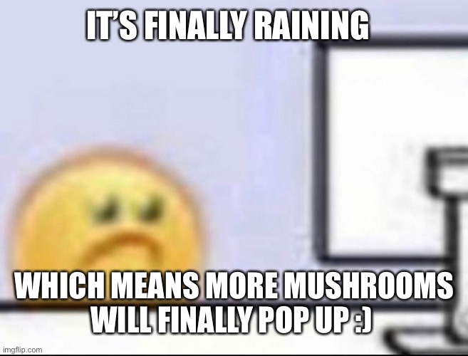 Zad | IT’S FINALLY RAINING; WHICH MEANS MORE MUSHROOMS WILL FINALLY POP UP :) | image tagged in zad | made w/ Imgflip meme maker