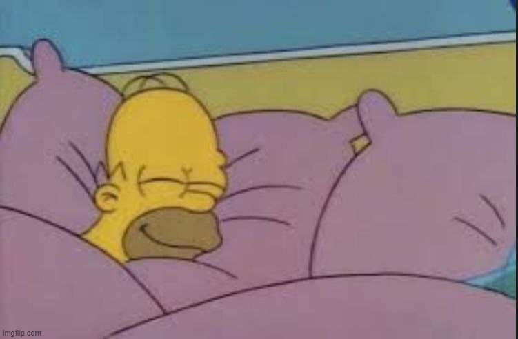 Homer sleeping | image tagged in homer sleeping | made w/ Imgflip meme maker