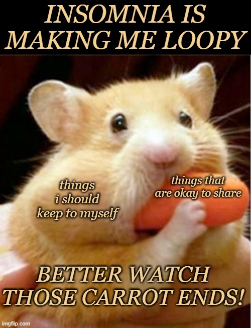 Today be like: | INSOMNIA IS MAKING ME LOOPY; things that are okay to share; things i should keep to myself; BETTER WATCH THOSE CARROT ENDS! | image tagged in hamster eats carrot mouthful,insomnia,reckless,autism,social anxiety,talking | made w/ Imgflip meme maker