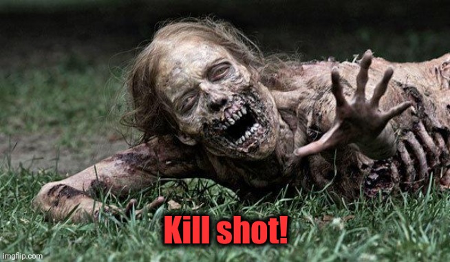 Walking Dead Zombie | Kill shot! | image tagged in walking dead zombie | made w/ Imgflip meme maker