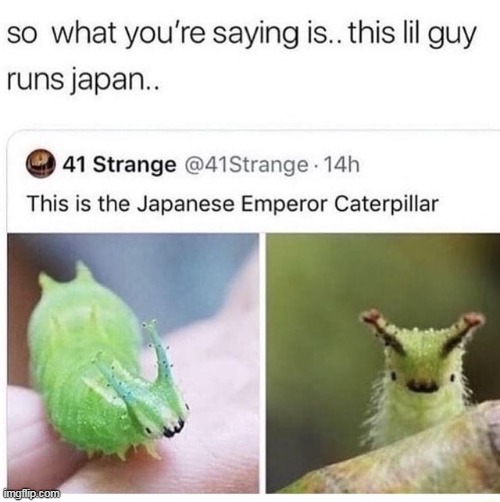 :3 | made w/ Imgflip meme maker