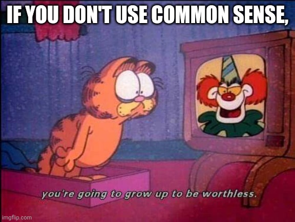 Garfield and binky the clown | IF YOU DON'T USE COMMON SENSE, | image tagged in garfield and binky the clown | made w/ Imgflip meme maker