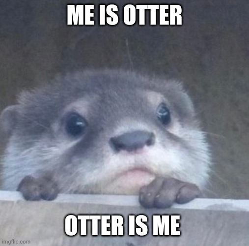 Otter is me | ME IS OTTER; OTTER IS ME | image tagged in i otter,wholesome,memes | made w/ Imgflip meme maker