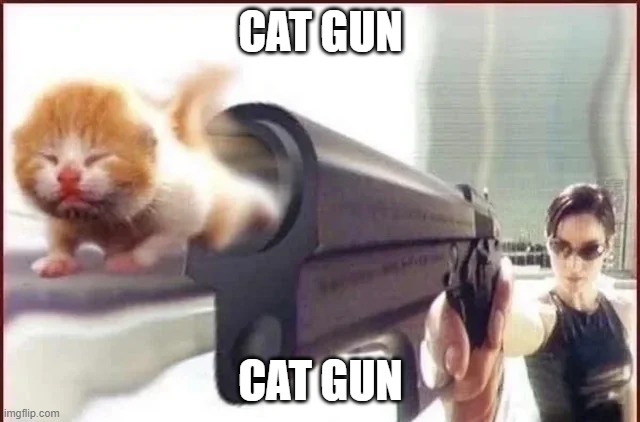 my honest reaction | CAT GUN; CAT GUN | image tagged in my honest reaction | made w/ Imgflip meme maker