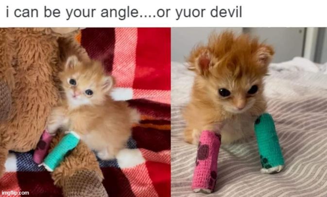 rest in peace tater tot, you truly were an angel im so sad | made w/ Imgflip meme maker