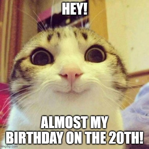 :) | HEY! ALMOST MY BIRTHDAY ON THE 20TH! | image tagged in memes,smiling cat | made w/ Imgflip meme maker