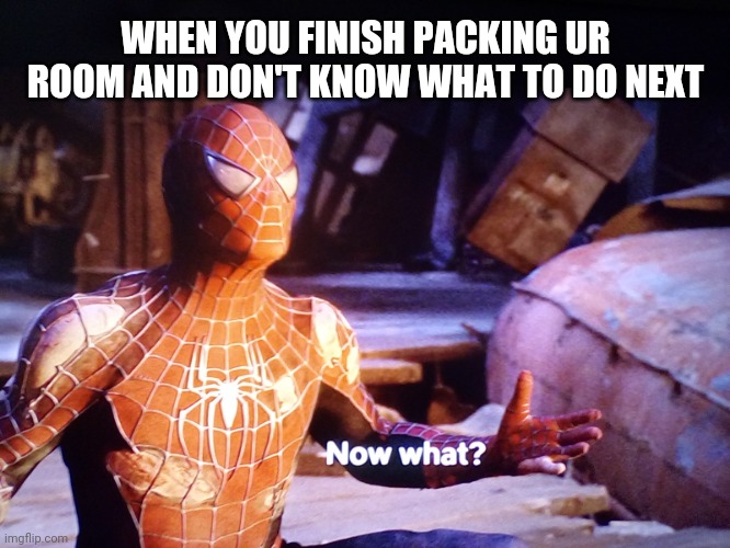 Example for this new meme | WHEN YOU FINISH PACKING UR ROOM AND DON'T KNOW WHAT TO DO NEXT | image tagged in spiderman now what | made w/ Imgflip meme maker