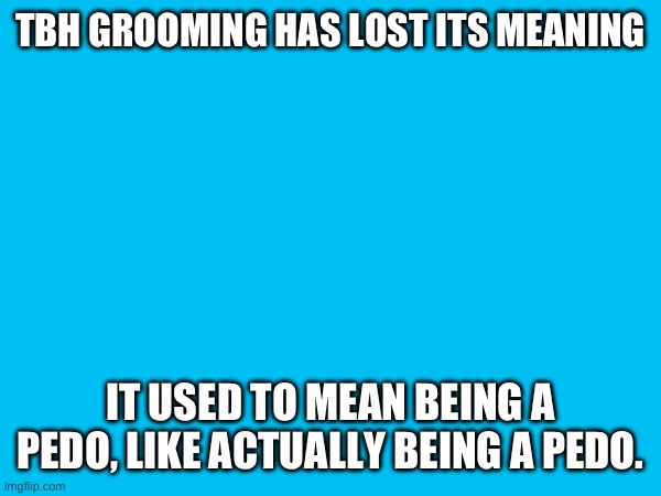 Now it means when liberals do something that conservatives don’t like | TBH GROOMING HAS LOST ITS MEANING; IT USED TO MEAN BEING A PEDO, LIKE ACTUALLY BEING A PEDO. | made w/ Imgflip meme maker