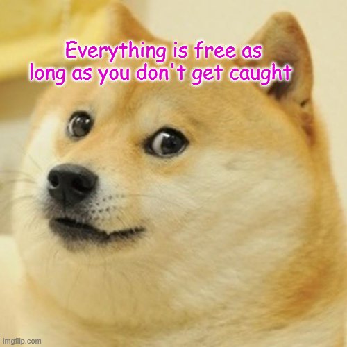freeeeee | Everything is free as long as you don't get caught | image tagged in memes,doge,free | made w/ Imgflip meme maker