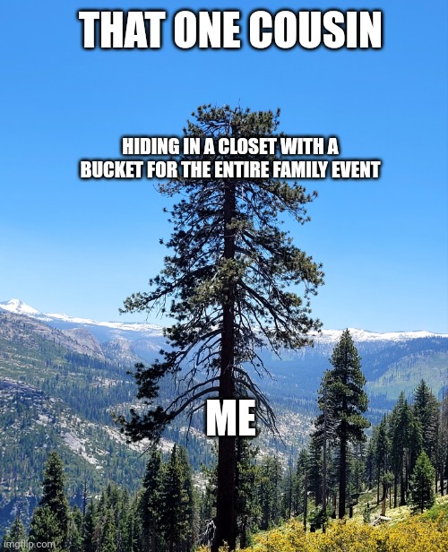We all have that one cousin | THAT ONE COUSIN; HIDING IN A CLOSET WITH A BUCKET FOR THE ENTIRE FAMILY EVENT; ME | image tagged in nope | made w/ Imgflip meme maker