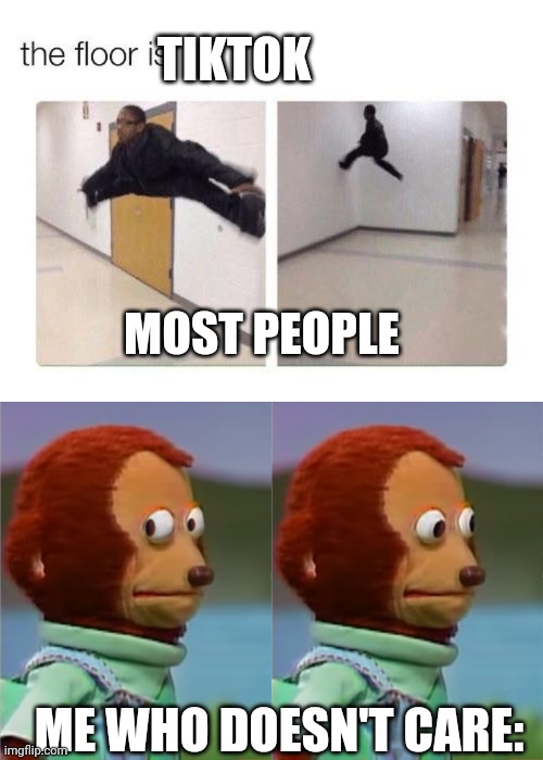 What did tiktok ever do to society (I'm not protecting it I joined imgflip and it was filled with memes about this and I want to | TIKTOK; MOST PEOPLE; ME WHO DOESN'T CARE: | image tagged in the floor is,puppet monkey looking away,question | made w/ Imgflip meme maker