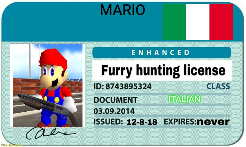 furry hunting license | MARIO; ITALIAN | image tagged in smg4 shotgun mario | made w/ Imgflip meme maker