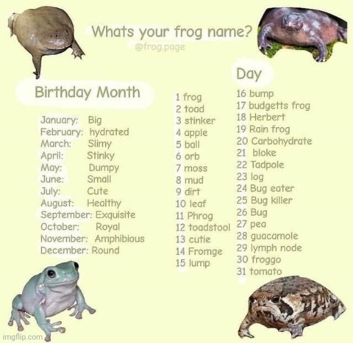 i want ur personal info spit it out | image tagged in what's ur frog name | made w/ Imgflip meme maker