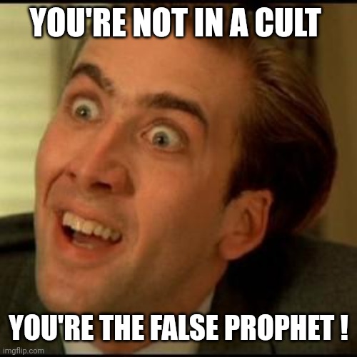 You dont say? | YOU'RE NOT IN A CULT YOU'RE THE FALSE PROPHET ! | image tagged in you dont say | made w/ Imgflip meme maker