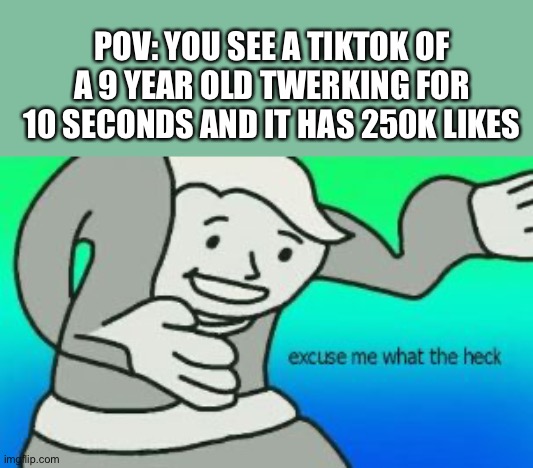 I really don’t understand this | POV: YOU SEE A TIKTOK OF A 9 YEAR OLD TWERKING FOR 10 SECONDS AND IT HAS 250K LIKES | image tagged in excuse me what the heck | made w/ Imgflip meme maker
