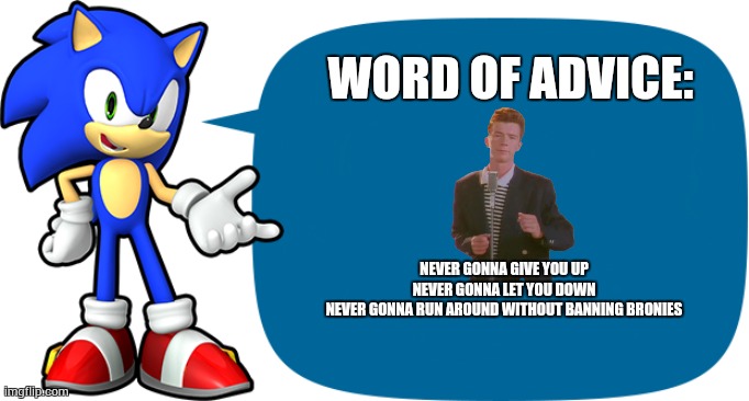 WORD OF ADVICE: NEVER GONNA GIVE YOU UP
NEVER GONNA LET YOU DOWN
NEVER GONNA RUN AROUND WITHOUT BANNING BRONIES | image tagged in sonic sez | made w/ Imgflip meme maker