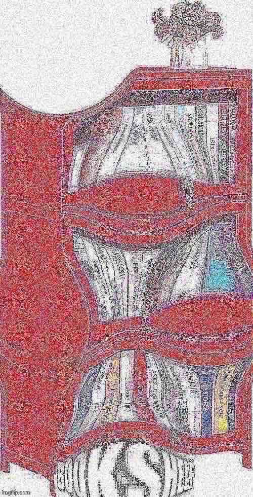 B o o k s h e l f | image tagged in bookshelf,deep fried hell,oh wow are you actually reading these tags | made w/ Imgflip meme maker