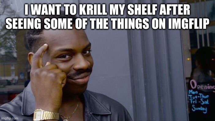 Don’t worry, I don’t actually | I WANT TO KRILL MY SHELF AFTER SEEING SOME OF THE THINGS ON IMGFLIP | image tagged in memes,roll safe think about it | made w/ Imgflip meme maker