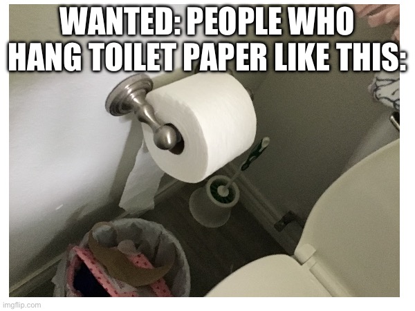 People who do this shall be hung for their crimes | WANTED: PEOPLE WHO HANG TOILET PAPER LIKE THIS: | image tagged in fun | made w/ Imgflip meme maker