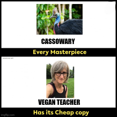 Vegan teacher is the cheap copy of the cassowary | CASSOWARY; VEGAN TEACHER | image tagged in masterpiece,that vegan teacher,veganism,vegan,vegans | made w/ Imgflip meme maker