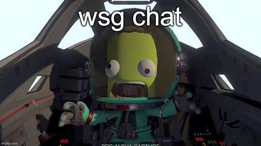 kerbal panic | wsg chat | image tagged in kerbal panic | made w/ Imgflip meme maker