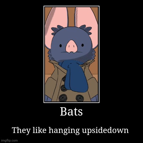 They like hanging upsidedown | Bats | They like hanging upsidedown | image tagged in funny,demotivationals | made w/ Imgflip demotivational maker