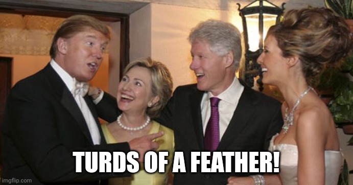 Trump and Hillary Friends | TURDS OF A FEATHER! | image tagged in trump and hillary friends | made w/ Imgflip meme maker