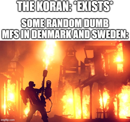 why tho... why would you burn a book bro? | THE KORAN: *EXISTS*; SOME RANDOM DUMB MFS IN DENMARK AND SWEDEN: | image tagged in burn it down,denmark,sweden,funny,memes,dank memes | made w/ Imgflip meme maker