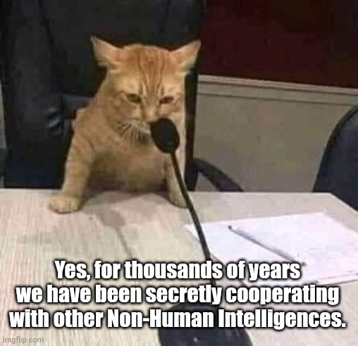 Non-Human Intelligences | Yes, for thousands of years we have been secretly cooperating with other Non-Human Intelligences. | image tagged in cat on mic | made w/ Imgflip meme maker