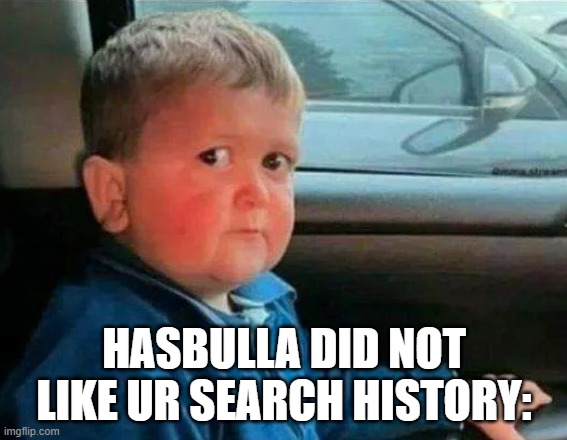 hasbulla car | HASBULLA DID NOT LIKE UR SEARCH HISTORY: | image tagged in hasbulla car | made w/ Imgflip meme maker
